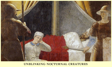 unblinking nocturnal creatures